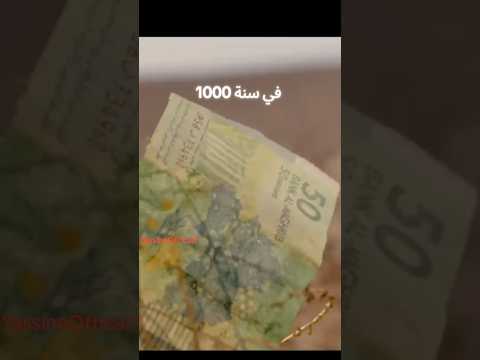 سردنة عومان جنب البحرين في سنة 1000 رشید مربي الدجاج خالد العليان السعوديةالمغرب افران