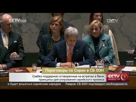 Совбез поддержал оговоренные на встречах в Вене принципы урегулирования сирийского кризиса