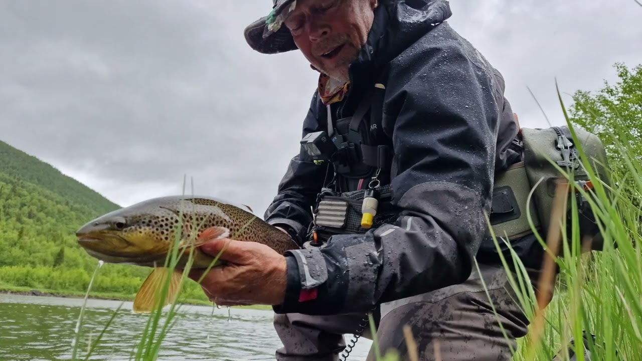 Flugfiske Saxnäs juni 2024 del 4