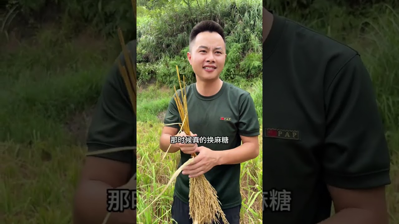 粒粒皆辛苦  #新米 #记录真实生活 #儿时记忆 #8090后 #同学会的意义