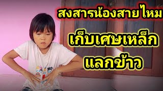 สงสารน้องสายไหมเก็บเศษเหล็กแลกข้าว23 สิงหาคม ค.ศ. 2023