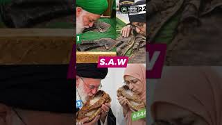 Kmaoqee Nipat The Bareons