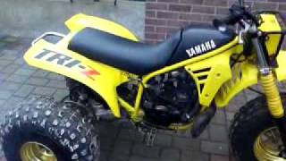 Yamaha Tri-Z 250 - Vollcross Trike - 56Ps - 2-Takt Hammer