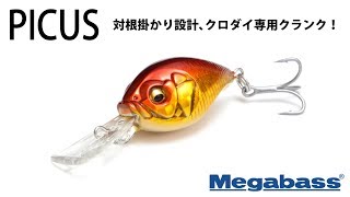 トップもボトムもお任せ！ メガバスのチヌゲーム | Megabass