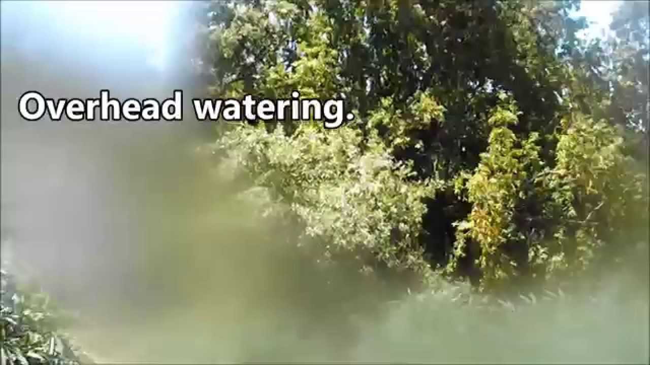 2014 ESC and Flower Initiator Project, Installment 6