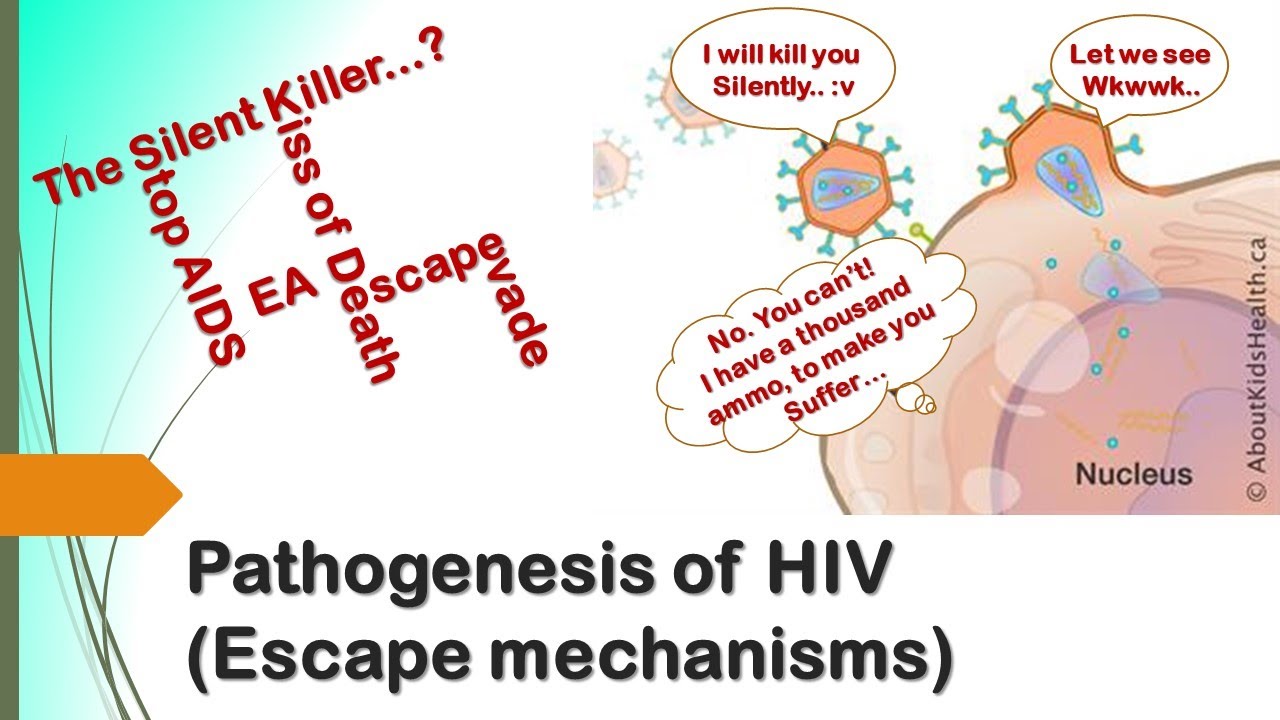 HIV DAN SISTEM IMUN Part 3 (Patogenesis HIV terhadap Innate Immunity ...