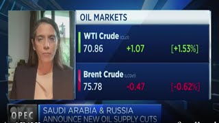 Vanda Insights: Saudi extension of oil cuts was baked into price