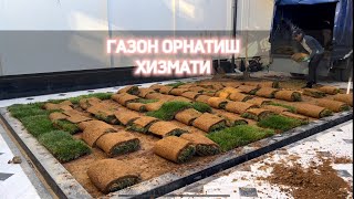 Газон орнатиш хизмати