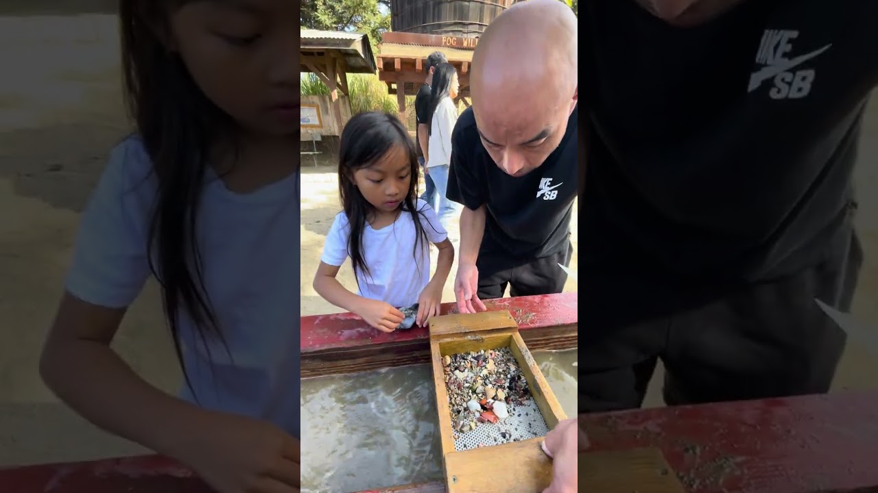 Fog Willow Farm 10/27/24