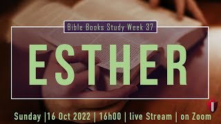 #37 ESTHER