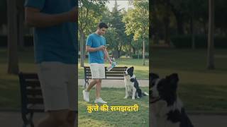 यह कुत्ता इंसानों से भी ज्यादा समझदार निकला! 😲🐶 | Amazing Dog Intelligence Video 2026