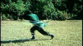 Download Lagu 李志洲 醉劍 Drunken Sword MP3