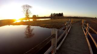 Trout Pond, buffalo Pound Sask (Fall 2016)