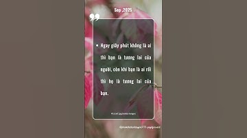 #176 Triết Lý Giáo Dục Tận Gốc #thauhieunoitamkientaoanvui #baihoccuocsong #wit #cauchuyennoitam