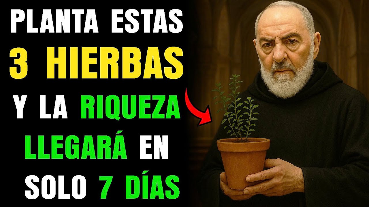 Padre Pío revela: Planta estas 3 hierbas en tu hogar y la riqueza llegará en solo 7 días