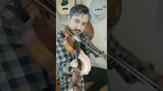 Gezintili Keman Taksimi 🎻