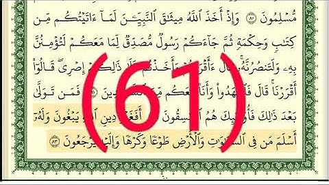 سورة آل عمران رقم الصفحة  61   مجود بصوت القارئ الشيخ أيمن سويد حفظه الله
