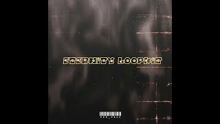 ( 10) ROYALTY FREE   STEMS Loop Kit (Various Style Melodies)