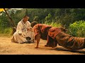 Jet Li A Kung Fu Master Trains A Teenage Boy To Fight His Bullies Using Tai Chi 