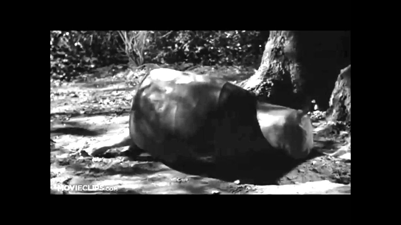 TKAM Loss of Innocence All 4 Quotes (EricScout Sankeerth Jem Sagar