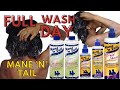 FULL WASH DAY ROUTINE Using ONLY Mane N Tail On Natural 4c Hair | HORSE SHAMPOO FOR HAIR GROWTH