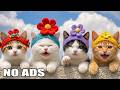 12 Hours Calming Music for Cats 💖 Gentle Comfort Music for Calm Happy Cats