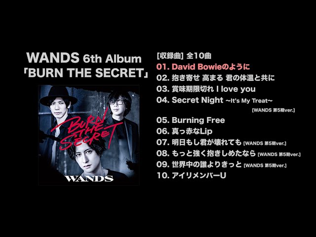 WANDS ライブ Tシャツ Sサイズ BURN THE SECRET 2021 WANDS 「BURN THE