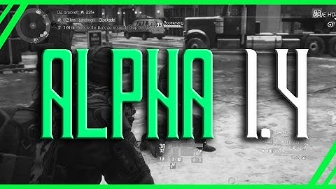 Alpha Bridge 1.4 LMGs - GREAT New Solo Builds and Info - The Division