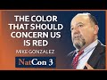 Mike Gonzalez | The Color That Should Concern Us is Red | NatCon 3 Miami
