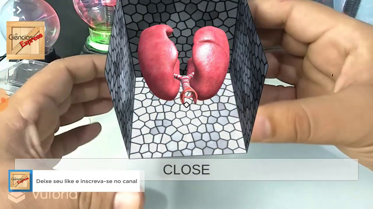 AR Medical merge cube para android ( realidade aumentada na educação) coração , cérebro , intestino,
