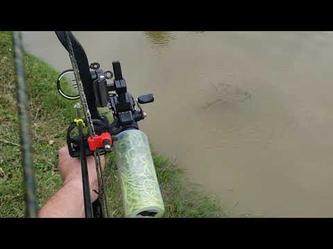 pesca de tilapias com arco 3