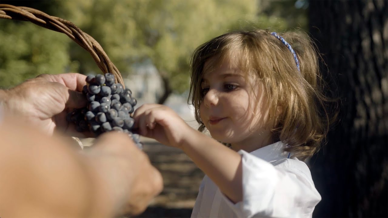 Il nostro vino è buono perché è frutto di una terra che sappiamo amare - SPOT SOSTENIBILITÀ