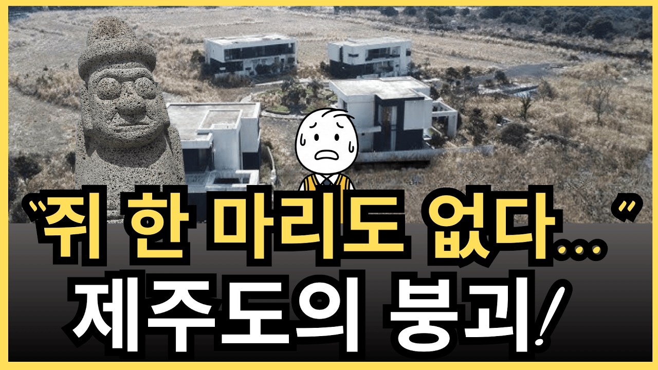 “쥐 한 마리도 보이지 않습니다…” 중국 자본에 휩쓸린 제주도, 참혹한 몰락의 현장.