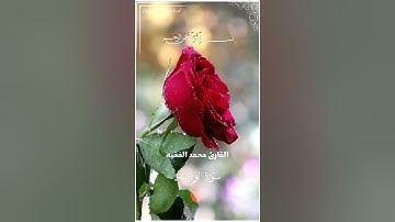 استمع لهذا الصوت الجميل والرائع القارئ محمد الفقيه