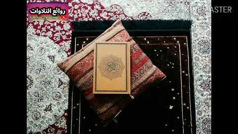 حالات وتس اب تلاوة في غاية الجمال الشيخ خالد الغباني  الوصابي