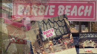 Barbie Beach Turin Ga