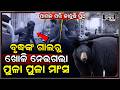 ଶୌଚ କରୁଥିବା ବେଳେ ହଠାତ୍ ମାଡ଼ିବସିଲା... ବୃଦ୍ଧଙ୍କ ଗାଲରୁ ଖୋଲି ନେଇଗଲା, ଗାଲରୁ ବାହାରିପଡୁଛି ପୁଳାପୁଳା...