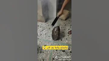 اذا كان عندك هاد الحجر لن تحتاج ولاعة بعد الآن 