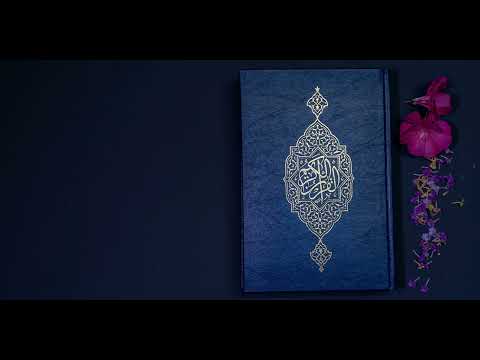 الشيخ محمد الهادي توري سورة الأحزاب 