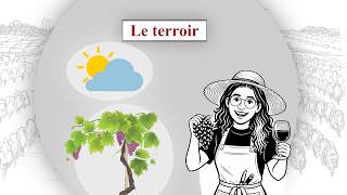 Terroir - Le Terroir Cest Quoi ?