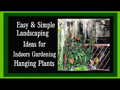 Video: Hanging Basket Flowers For Shade – Lumalagong Shade Flowers Sa Hanging Baskets