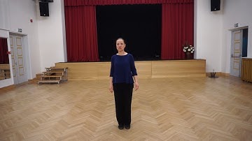 Electric Slide line dance (1 wall teach)