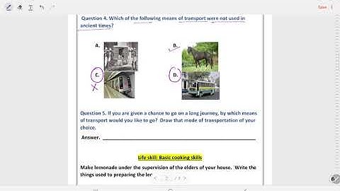 Class 3 Subject: Social Studies Worksheet Solution Week 8(23/7/21) Topic: Travelling in Delhi