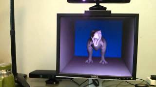 Holographic-like displaying using head pose tracking and screen-camera calibration
