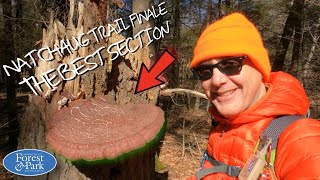 Natchaug Trail Finale - The Best Section