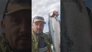Первый улов Pink Salmon