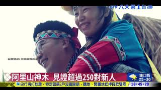 浪漫森林婚禮 阿里山神木當見證 八大民生新聞 2021092419