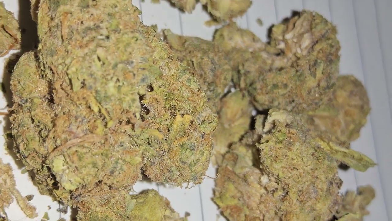 CLOSEUP Of Lumir L.A Kush Cake BUDS Medical Cannabis Strain FORTHEBUCK REVIEWS