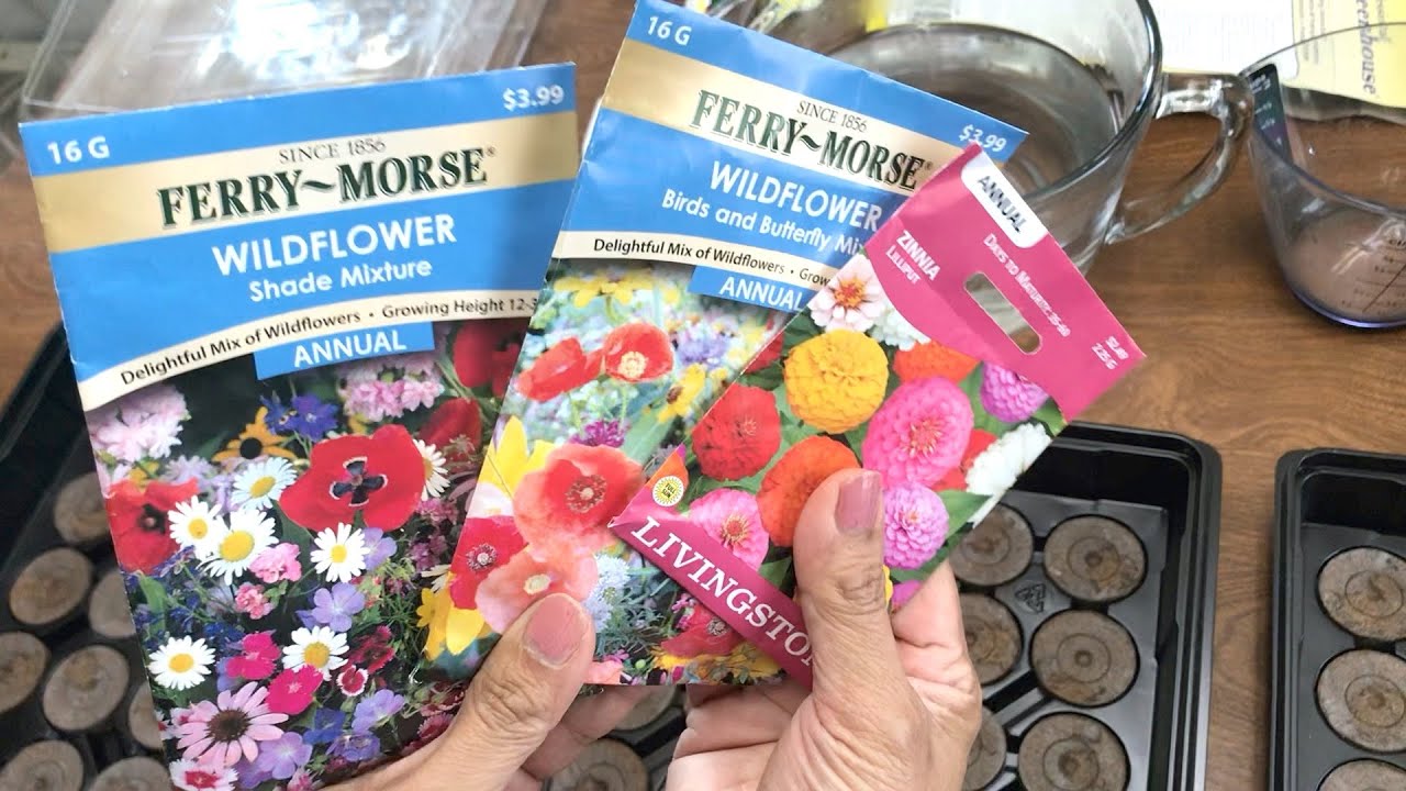 How to start plants in a Jiffy Professional Greenhouse! Fondanista Gardening 🌿🌸