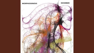 Morphogenesis